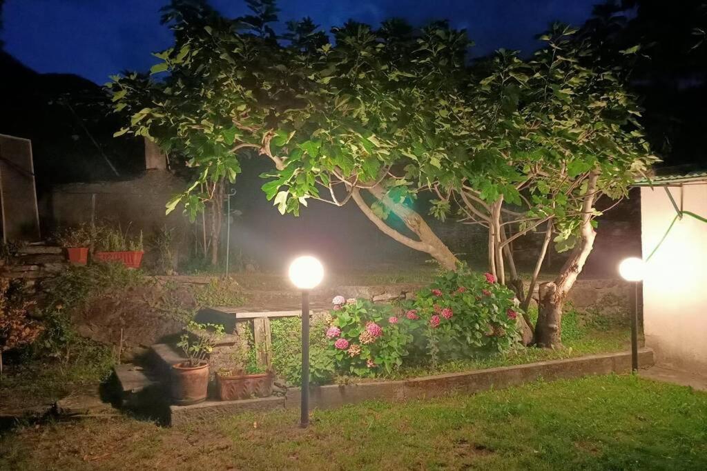 Villa Da Zio Guido! Bussoleno Exterior foto