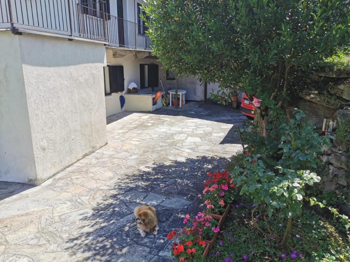 Villa Da Zio Guido! Bussoleno Exterior foto